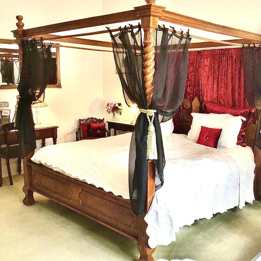 Kurrajong House Bed and Breakfast Λόντσεστον Εξωτερικό φωτογραφία
